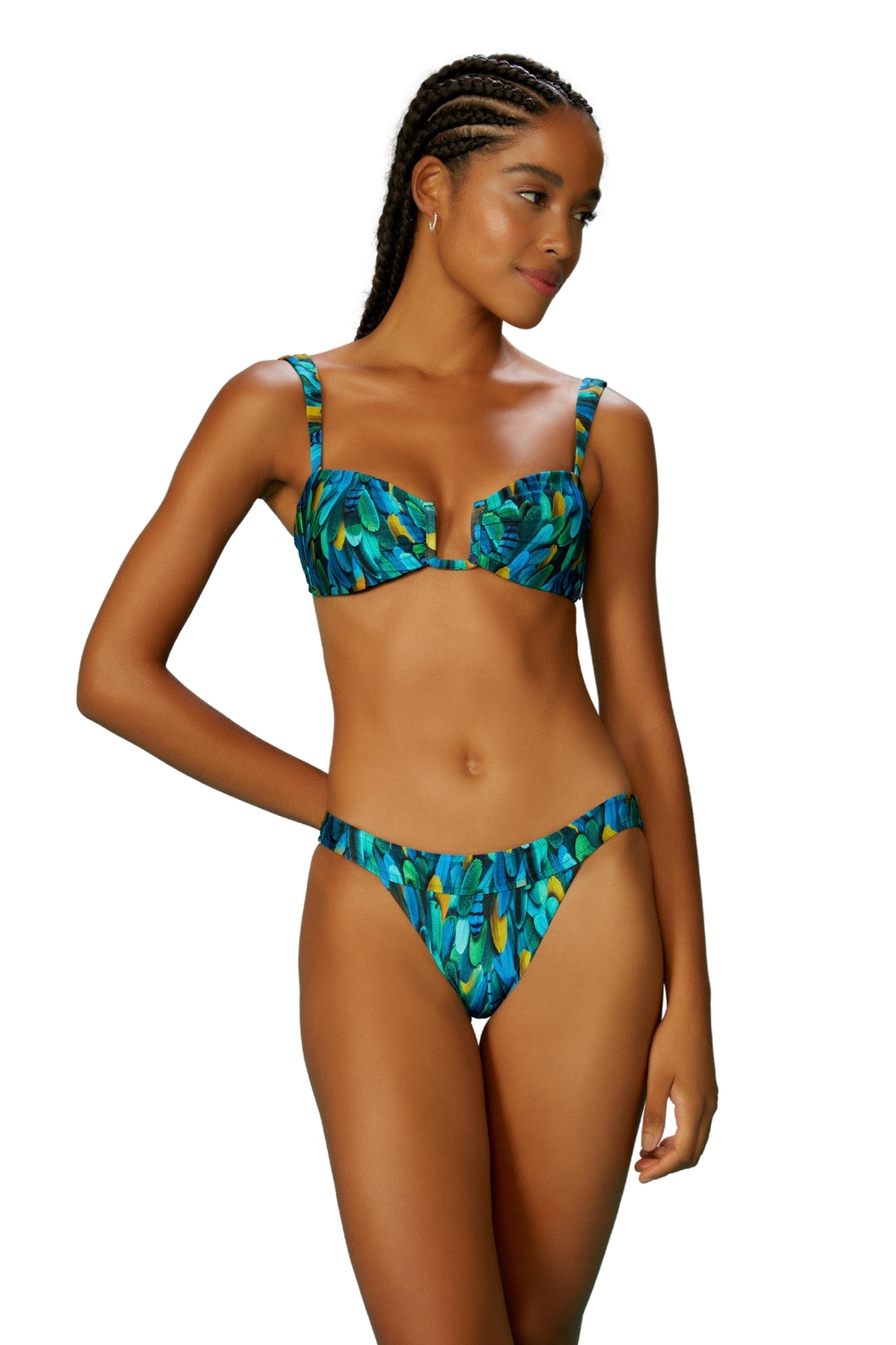 Image 04: Blueman Top Top Fauna Quenia