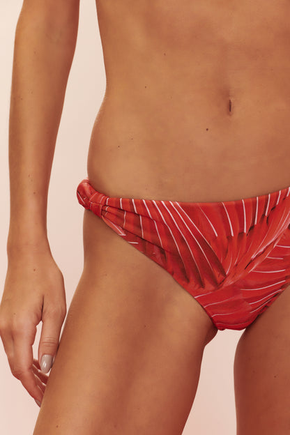 Image 06: Blueman Bottom Bottom Guara Cuba