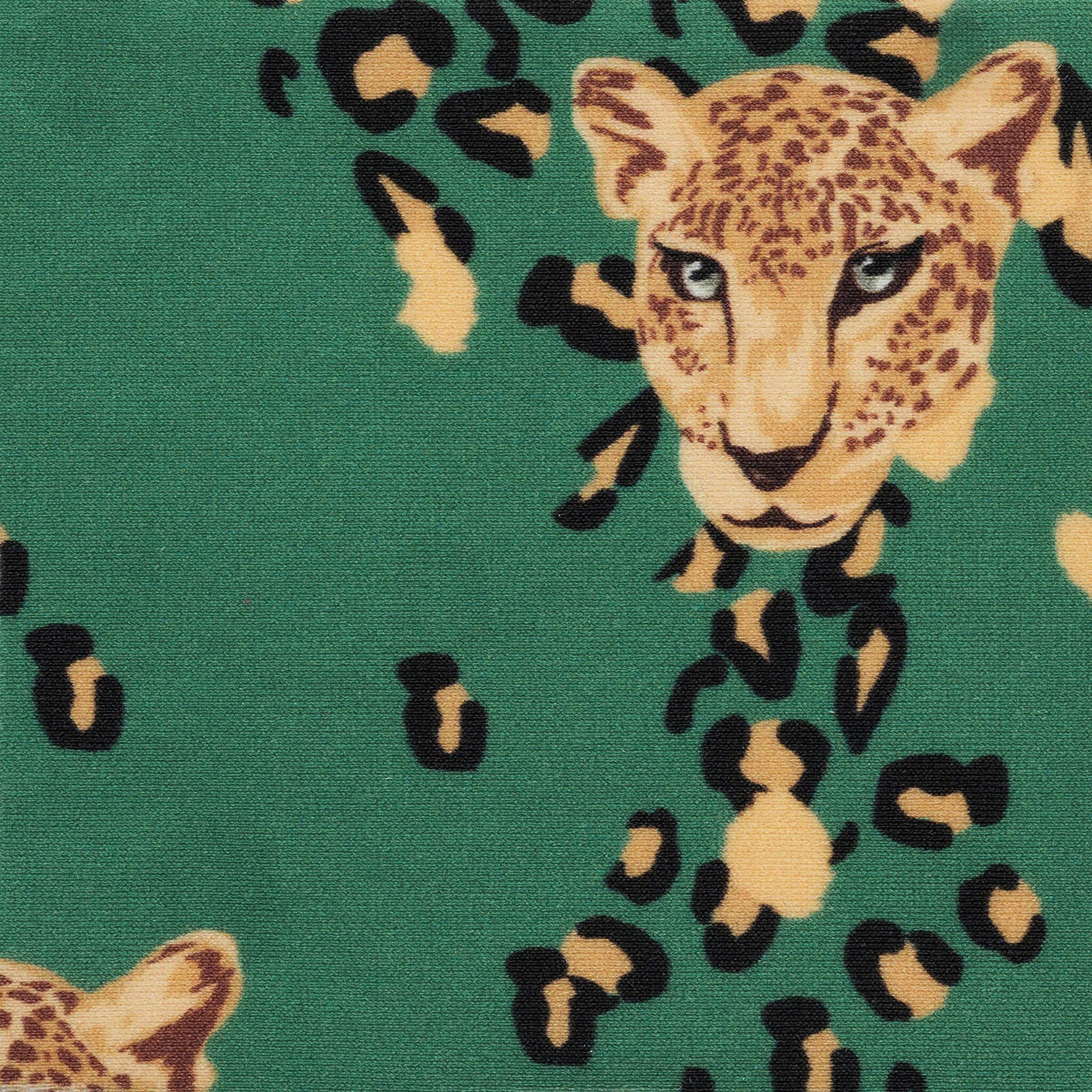 Image 07: Rio De Sol Bikini Bottoms Bottom Roar-Green California