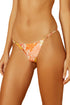 Gallery: Blueman Bottom Bottom Florest-Salmao Fox