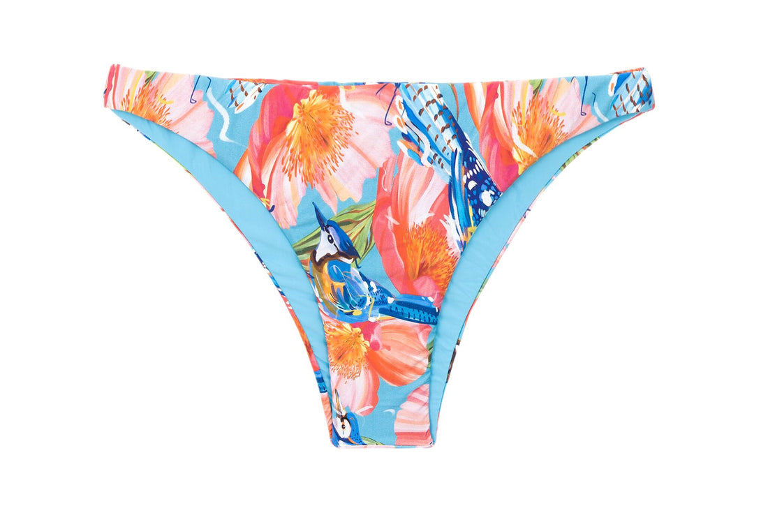 Product Front: Rio De Sol Bikini Bottoms Bottom Zinnia Leblon