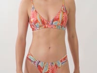 Video: Rio De Sol Bottom Bottom Sea-Bloom Baobi